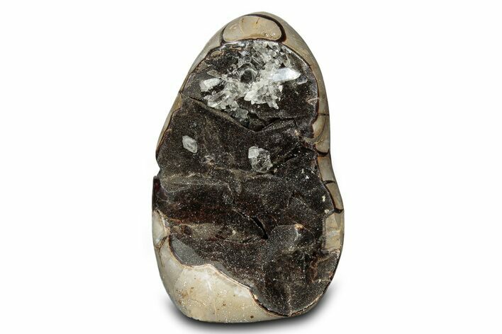 Free-Standing, Polished Septarian Geode - Black Crystals #302874